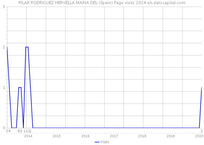 PILAR RODRIGUEZ HERVELLA MARIA DEL (Spain) Page visits 2024 