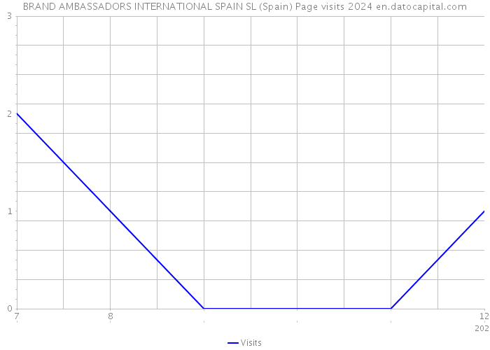 BRAND AMBASSADORS INTERNATIONAL SPAIN SL (Spain) Page visits 2024 