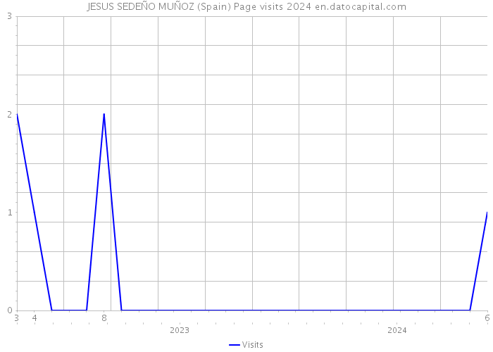 JESUS SEDEÑO MUÑOZ (Spain) Page visits 2024 