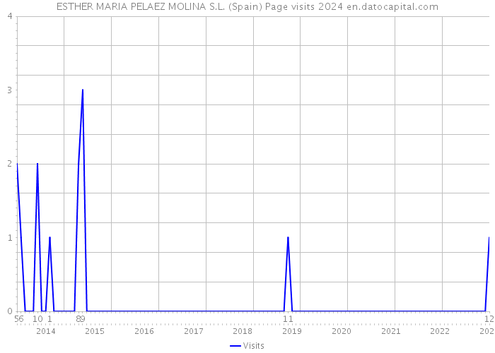 ESTHER MARIA PELAEZ MOLINA S.L. (Spain) Page visits 2024 