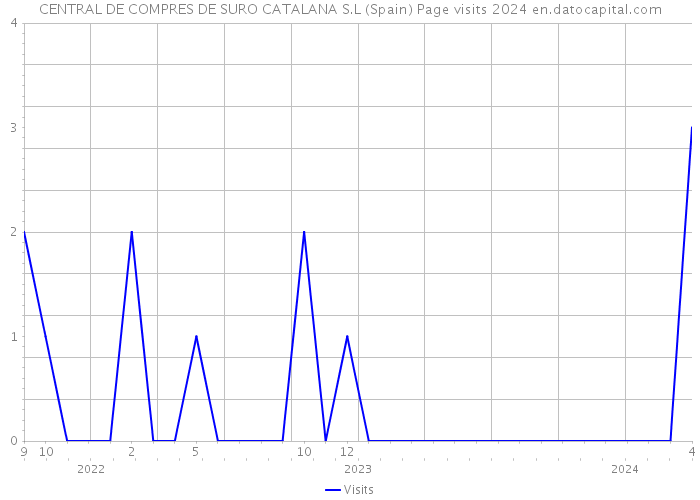 CENTRAL DE COMPRES DE SURO CATALANA S.L (Spain) Page visits 2024 