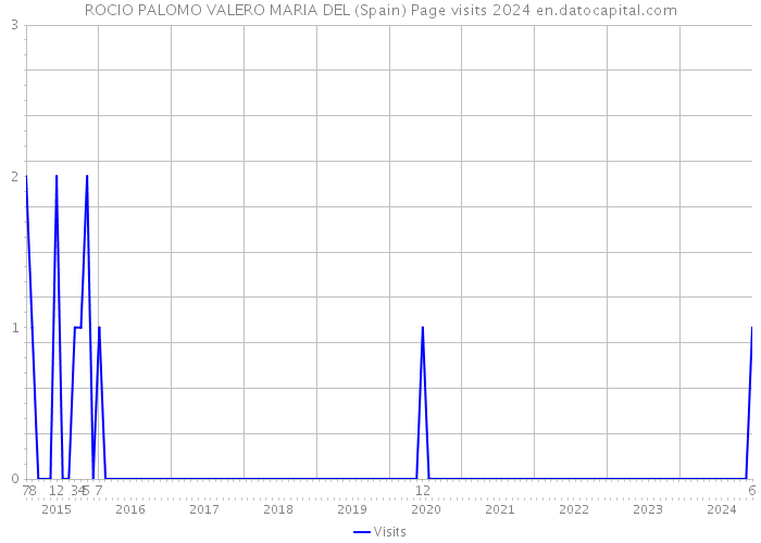 ROCIO PALOMO VALERO MARIA DEL (Spain) Page visits 2024 