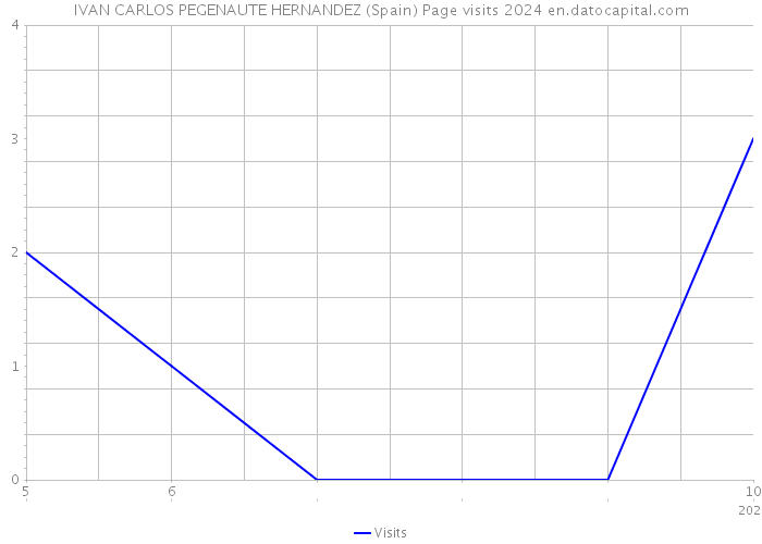 IVAN CARLOS PEGENAUTE HERNANDEZ (Spain) Page visits 2024 