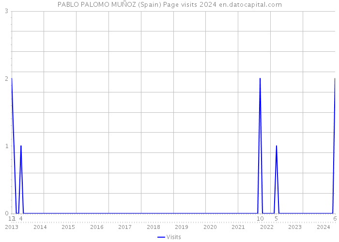 PABLO PALOMO MUÑOZ (Spain) Page visits 2024 