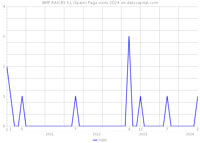 BMP RAICES S.L (Spain) Page visits 2024 