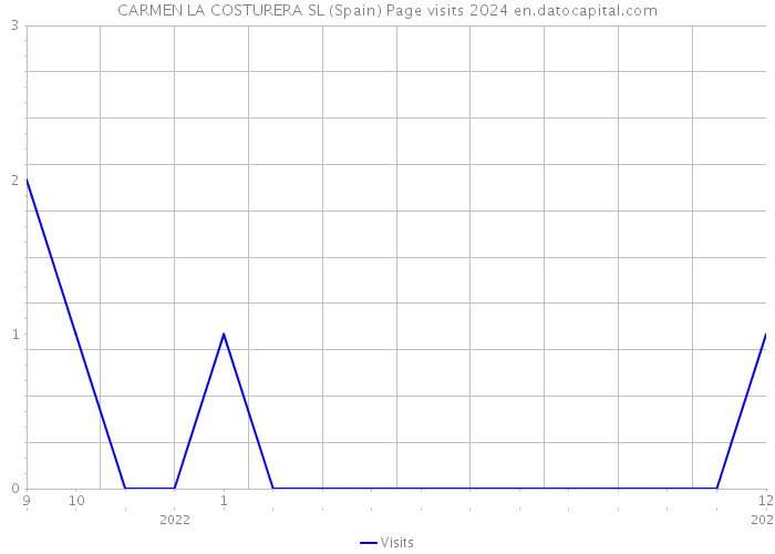 CARMEN LA COSTURERA SL (Spain) Page visits 2024 