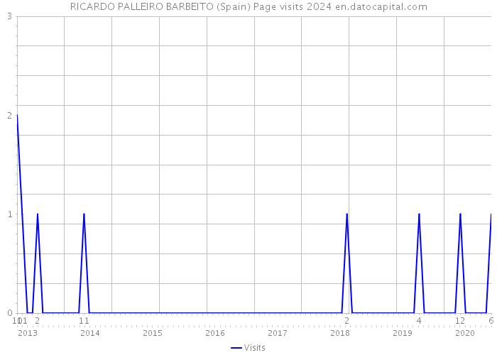 RICARDO PALLEIRO BARBEITO (Spain) Page visits 2024 