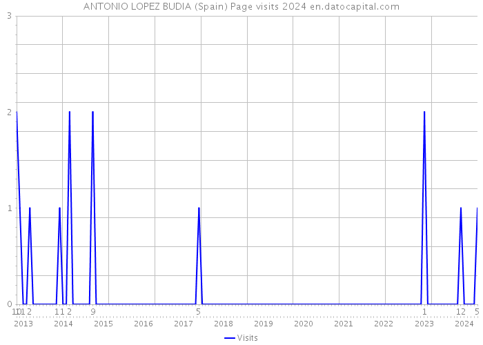 ANTONIO LOPEZ BUDIA (Spain) Page visits 2024 