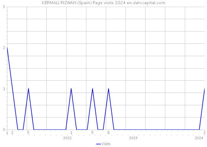 KERMALI RIZWAN (Spain) Page visits 2024 