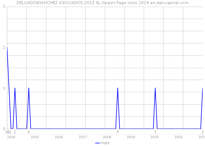 DELGADO&SANCHEZ ASOCIADOS 2013 SL (Spain) Page visits 2024 