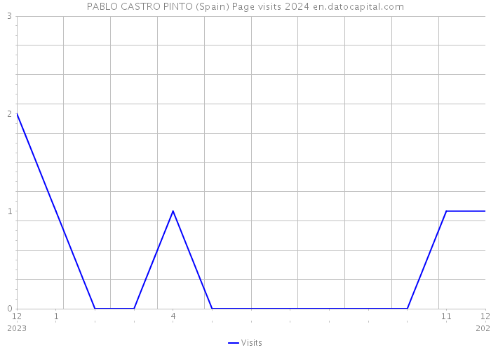PABLO CASTRO PINTO (Spain) Page visits 2024 