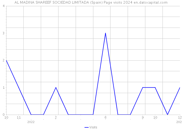 AL MADINA SHAREEF SOCIEDAD LIMITADA (Spain) Page visits 2024 