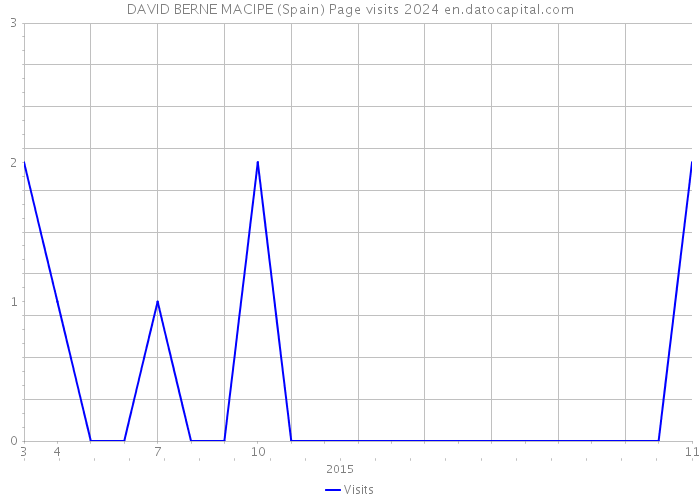 DAVID BERNE MACIPE (Spain) Page visits 2024 