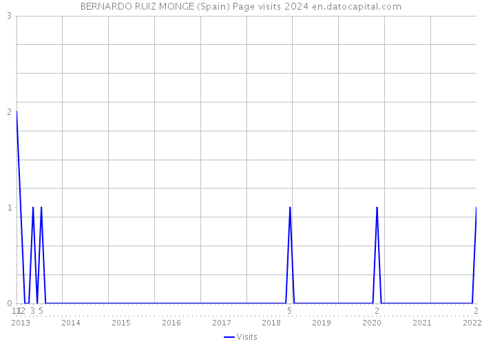 BERNARDO RUIZ MONGE (Spain) Page visits 2024 
