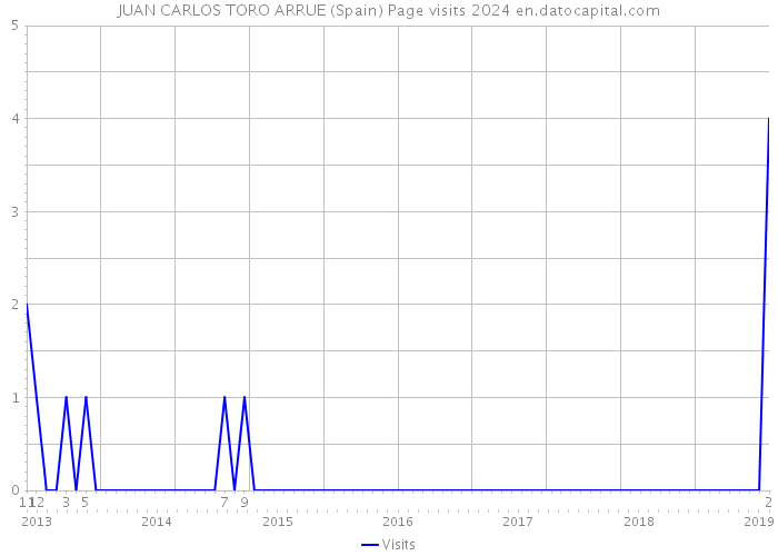 JUAN CARLOS TORO ARRUE (Spain) Page visits 2024 