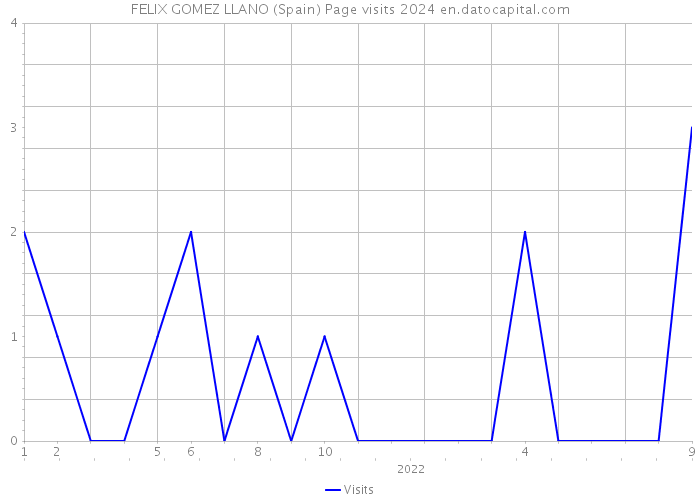 FELIX GOMEZ LLANO (Spain) Page visits 2024 