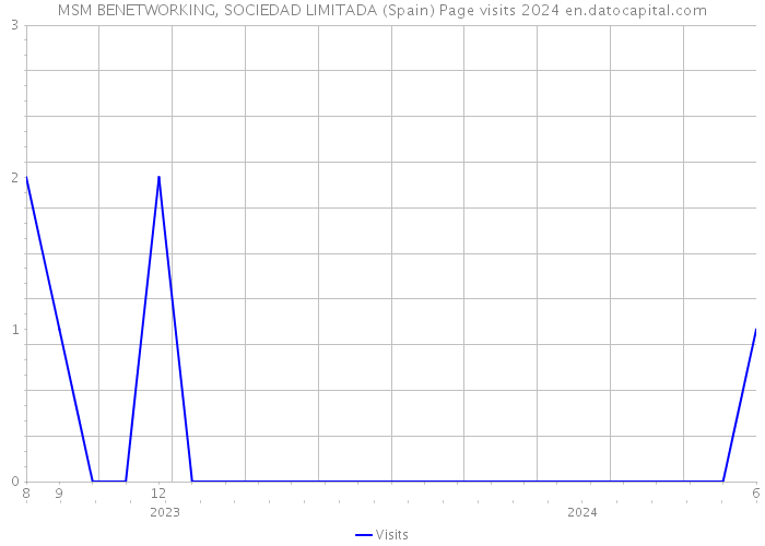 MSM BENETWORKING, SOCIEDAD LIMITADA (Spain) Page visits 2024 