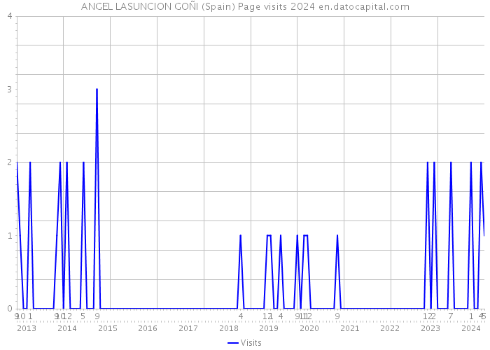 ANGEL LASUNCION GOÑI (Spain) Page visits 2024 