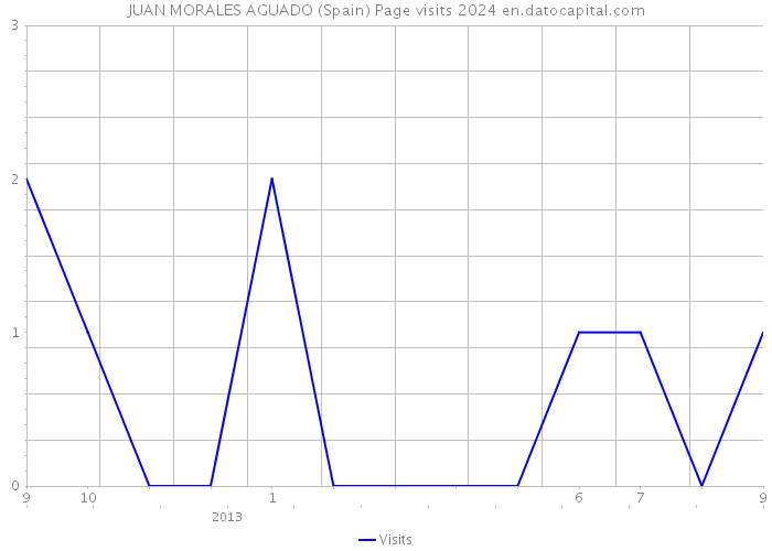 JUAN MORALES AGUADO (Spain) Page visits 2024 