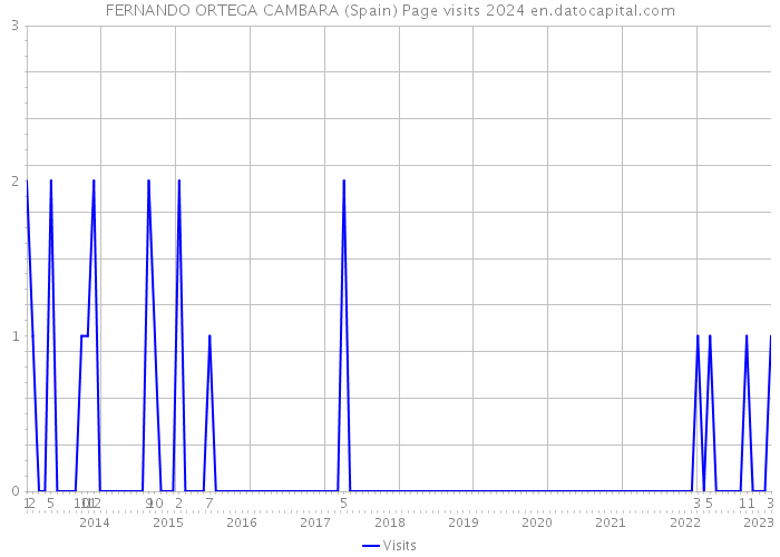 FERNANDO ORTEGA CAMBARA (Spain) Page visits 2024 
