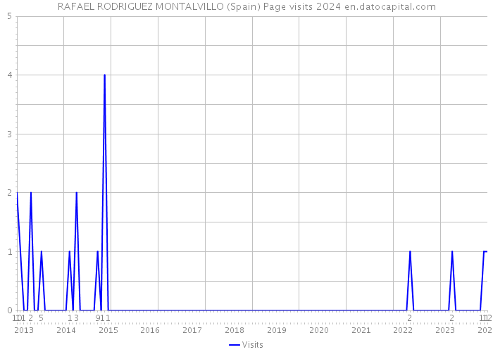 RAFAEL RODRIGUEZ MONTALVILLO (Spain) Page visits 2024 