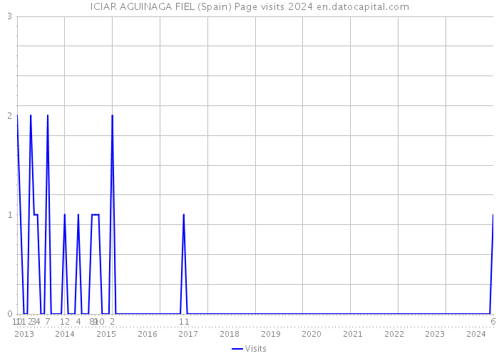 ICIAR AGUINAGA FIEL (Spain) Page visits 2024 