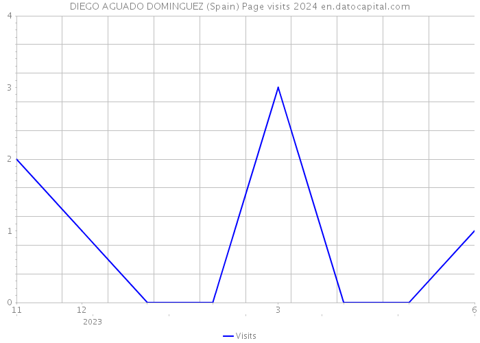 DIEGO AGUADO DOMINGUEZ (Spain) Page visits 2024 
