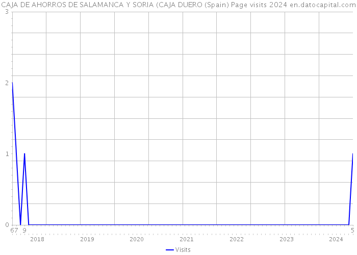 CAJA DE AHORROS DE SALAMANCA Y SORIA (CAJA DUERO (Spain) Page visits 2024 