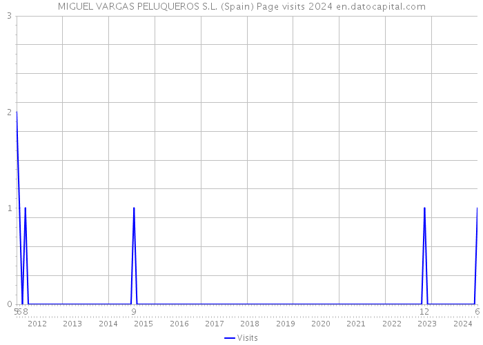 MIGUEL VARGAS PELUQUEROS S.L. (Spain) Page visits 2024 