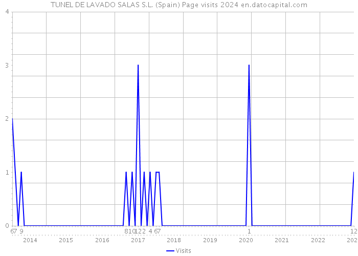TUNEL DE LAVADO SALAS S.L. (Spain) Page visits 2024 