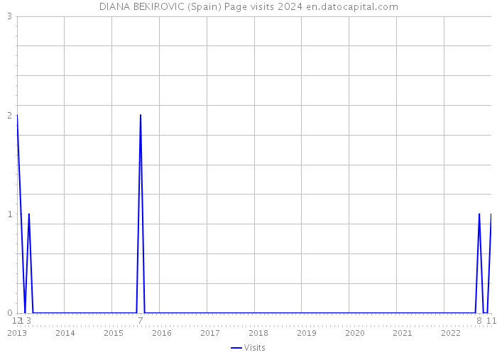 DIANA BEKIROVIC (Spain) Page visits 2024 