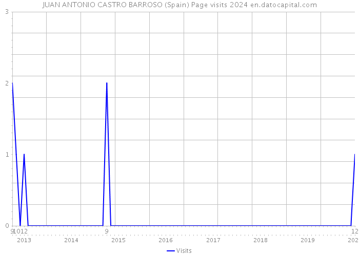 JUAN ANTONIO CASTRO BARROSO (Spain) Page visits 2024 