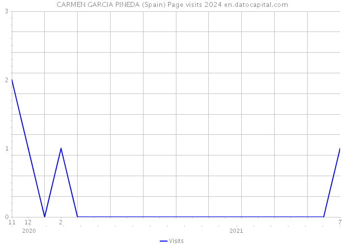 CARMEN GARCIA PINEDA (Spain) Page visits 2024 