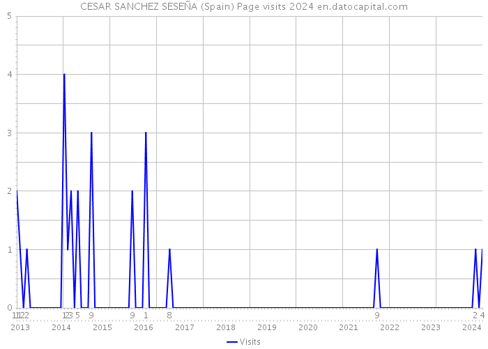 CESAR SANCHEZ SESEÑA (Spain) Page visits 2024 