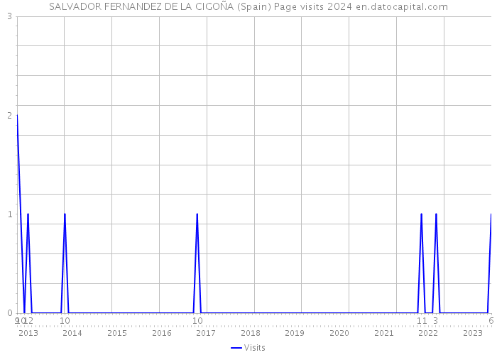 SALVADOR FERNANDEZ DE LA CIGOÑA (Spain) Page visits 2024 