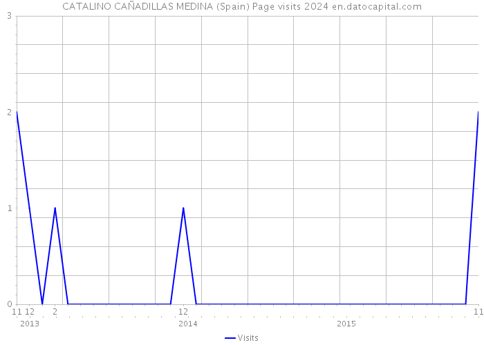 CATALINO CAÑADILLAS MEDINA (Spain) Page visits 2024 