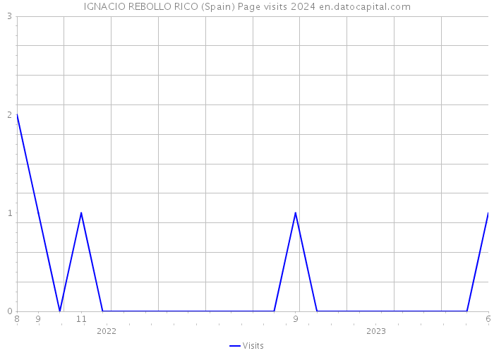 IGNACIO REBOLLO RICO (Spain) Page visits 2024 