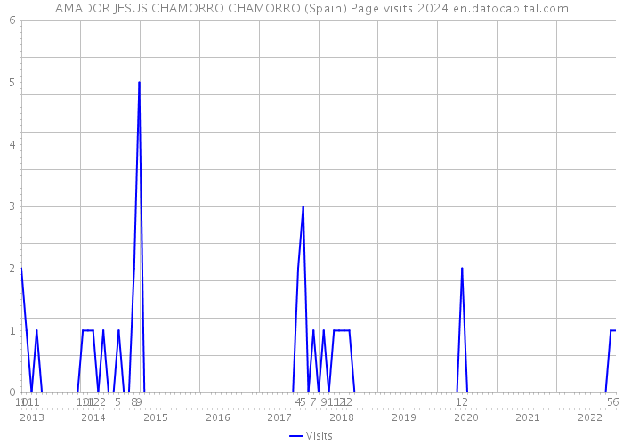 AMADOR JESUS CHAMORRO CHAMORRO (Spain) Page visits 2024 