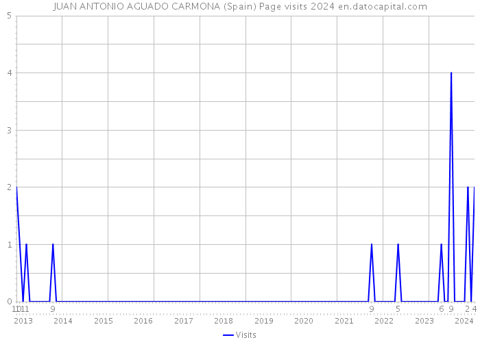 JUAN ANTONIO AGUADO CARMONA (Spain) Page visits 2024 
