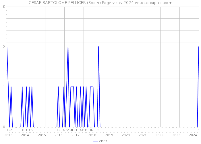 CESAR BARTOLOME PELLICER (Spain) Page visits 2024 