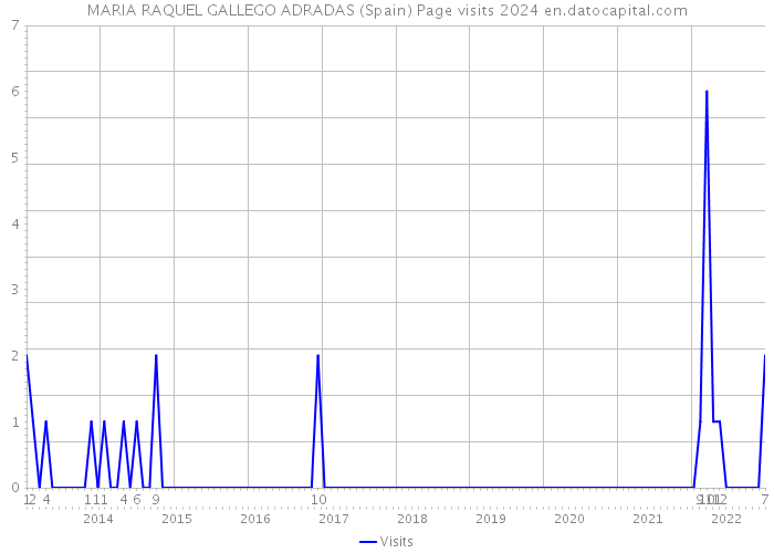 MARIA RAQUEL GALLEGO ADRADAS (Spain) Page visits 2024 