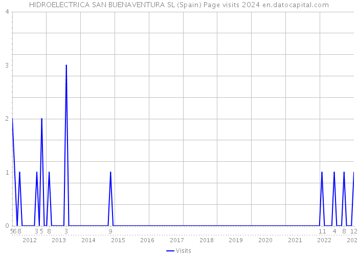 HIDROELECTRICA SAN BUENAVENTURA SL (Spain) Page visits 2024 