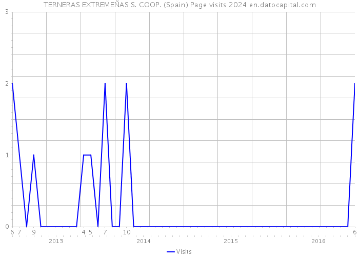 TERNERAS EXTREMEÑAS S. COOP. (Spain) Page visits 2024 