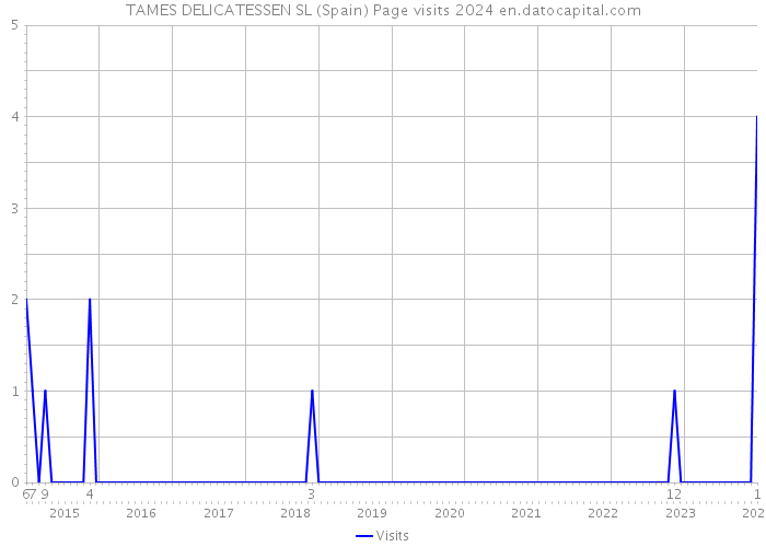 TAMES DELICATESSEN SL (Spain) Page visits 2024 