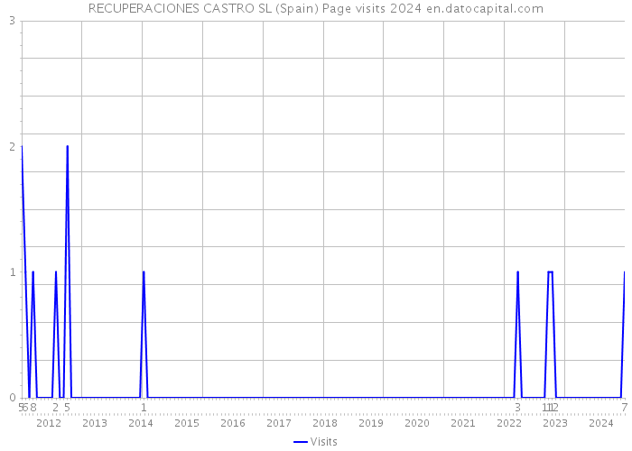 RECUPERACIONES CASTRO SL (Spain) Page visits 2024 