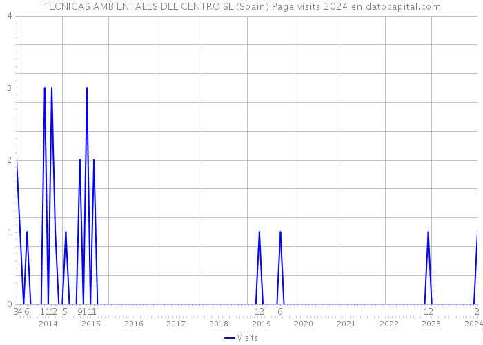 TECNICAS AMBIENTALES DEL CENTRO SL (Spain) Page visits 2024 
