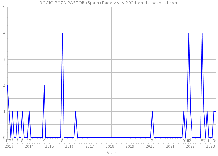 ROCIO POZA PASTOR (Spain) Page visits 2024 