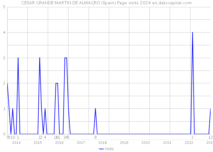 CESAR GRANDE MARTIN DE ALMAGRO (Spain) Page visits 2024 