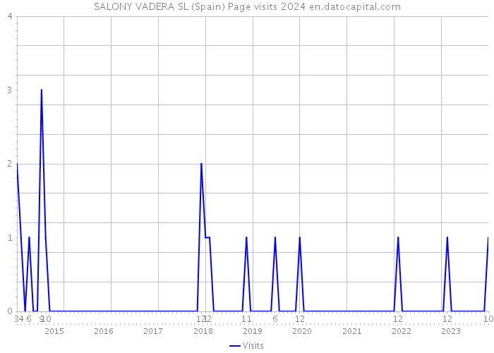 SALONY VADERA SL (Spain) Page visits 2024 