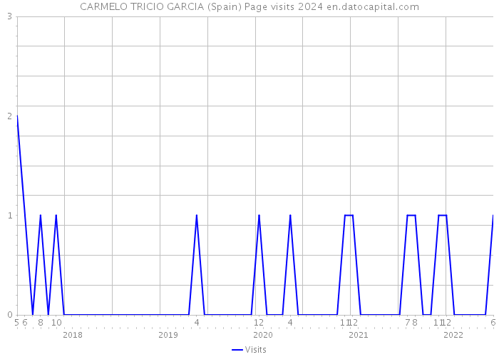 CARMELO TRICIO GARCIA (Spain) Page visits 2024 